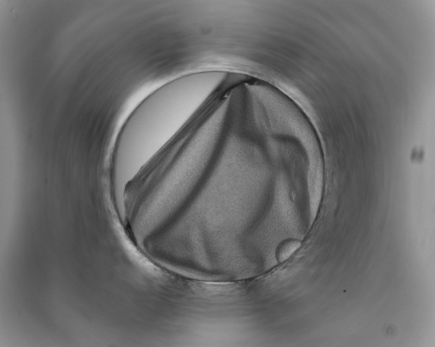 X0000090761152200708172043