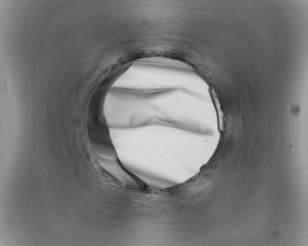 X0000090761153200708172042