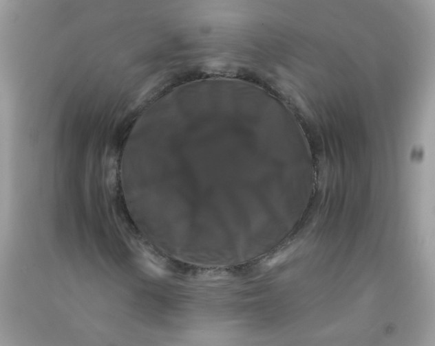 X0000090761154200708172042