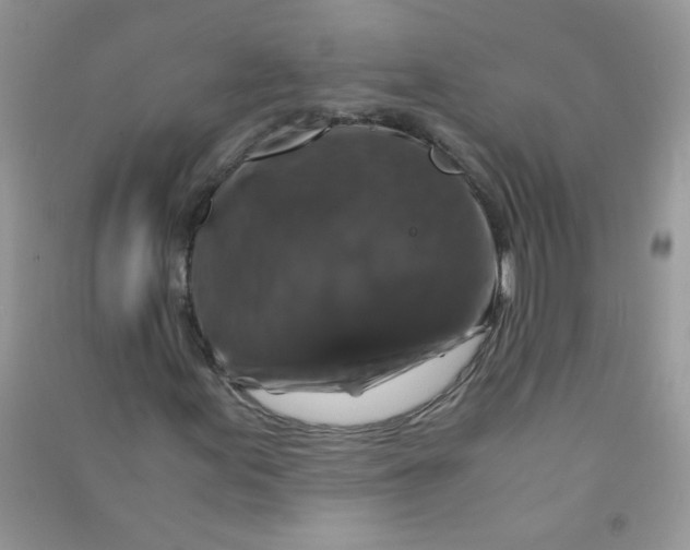 X0000090761155200708172042