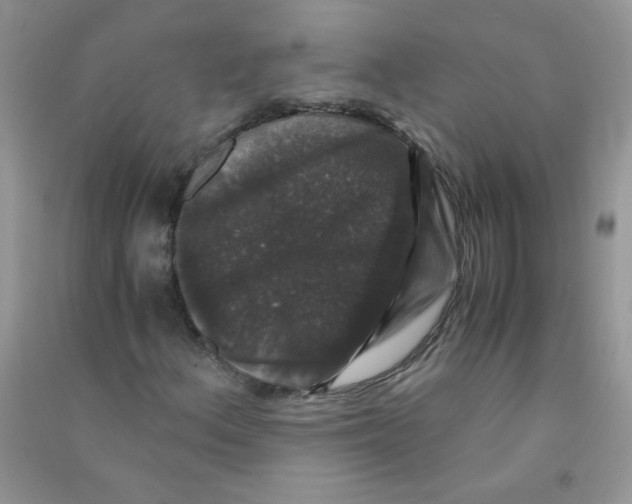 X0000090761156200708172042