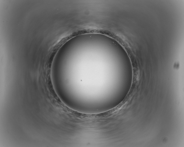 X0000090761157200708172042