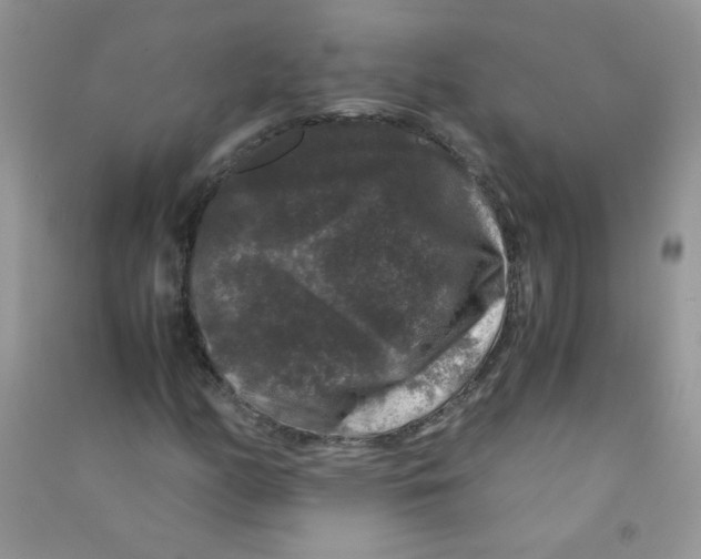 X0000090761158200708172042