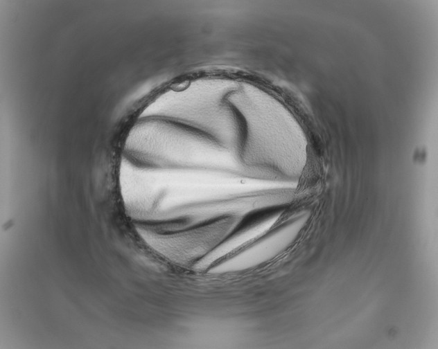 X0000090761159200708172042