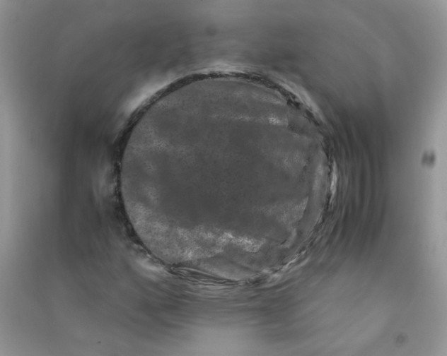 X0000090761160200708172042