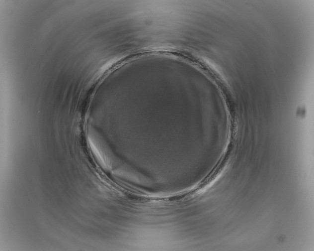 X0000090761161200708172042