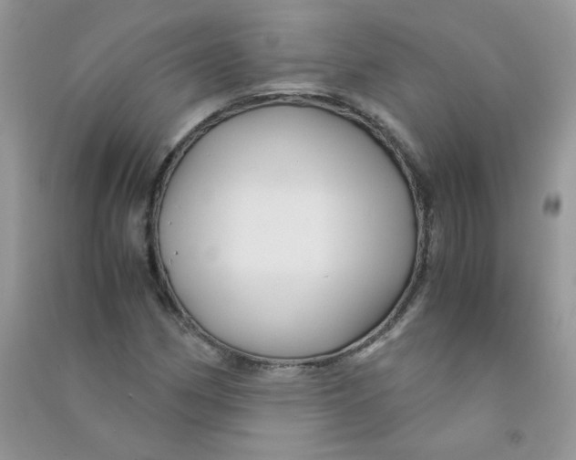 X0000090761162200708172042