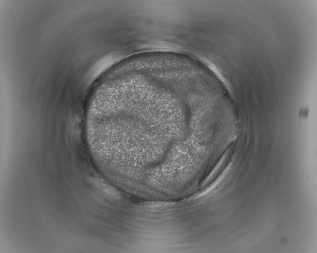 X0000090761163200708172042