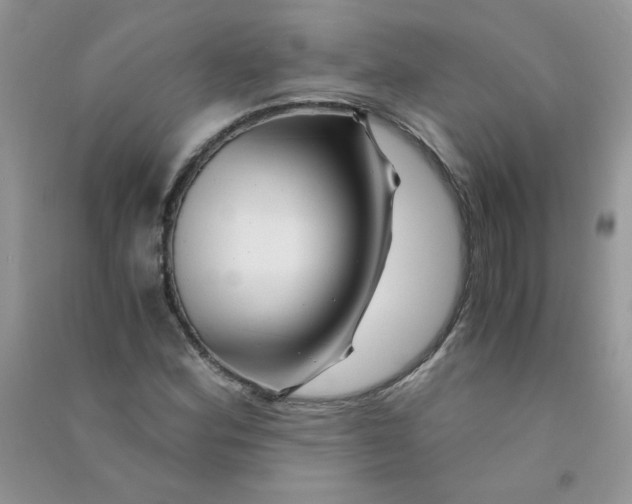 X0000090761164200708172042