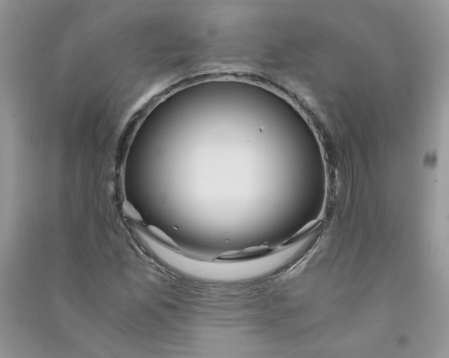 X0000090761165200708172042