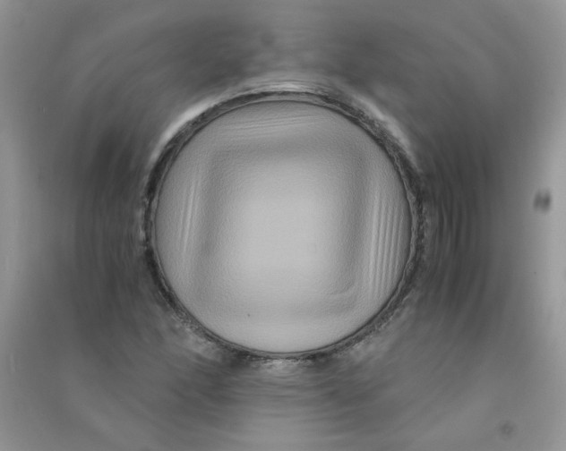 X0000090761166200708172042