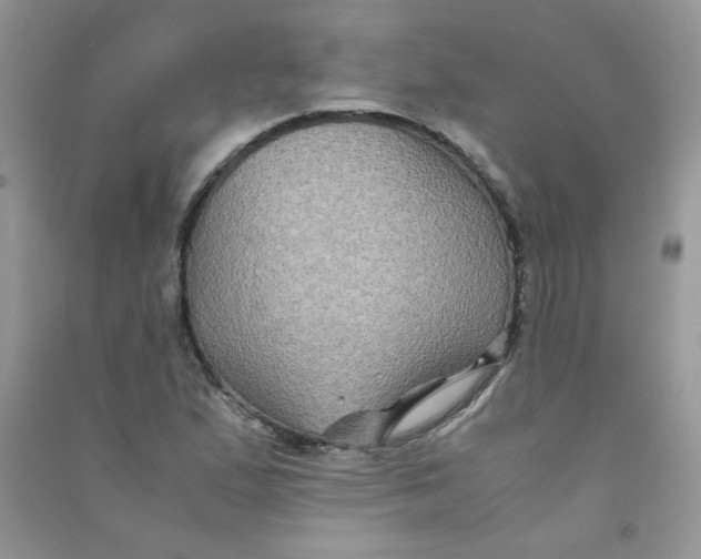 X0000090761167200708172042