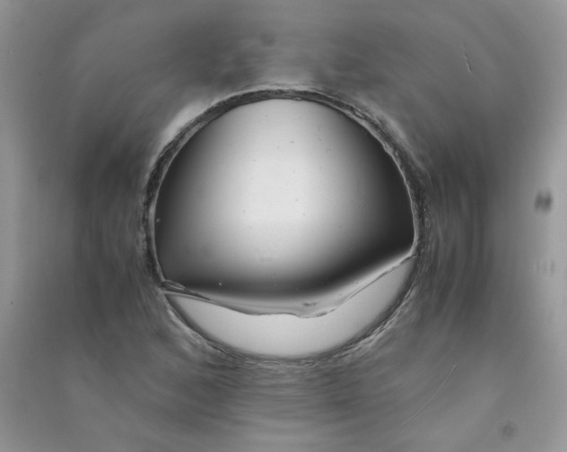 X0000090761168200708172042