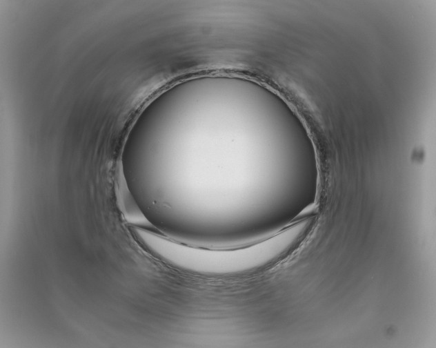 X0000090761169200708172042