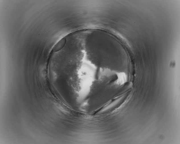 X0000090761170200708172042