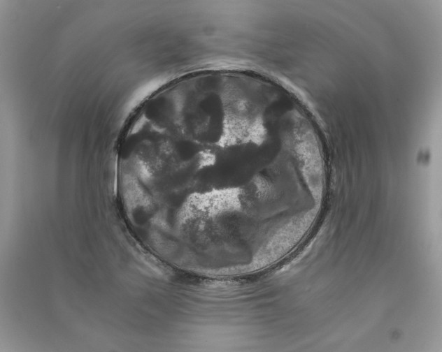 X0000090761171200708172042