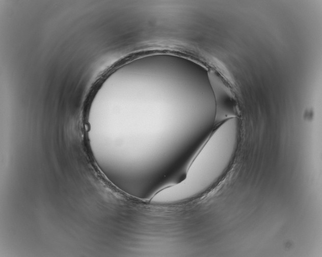 X0000090761172200708172042