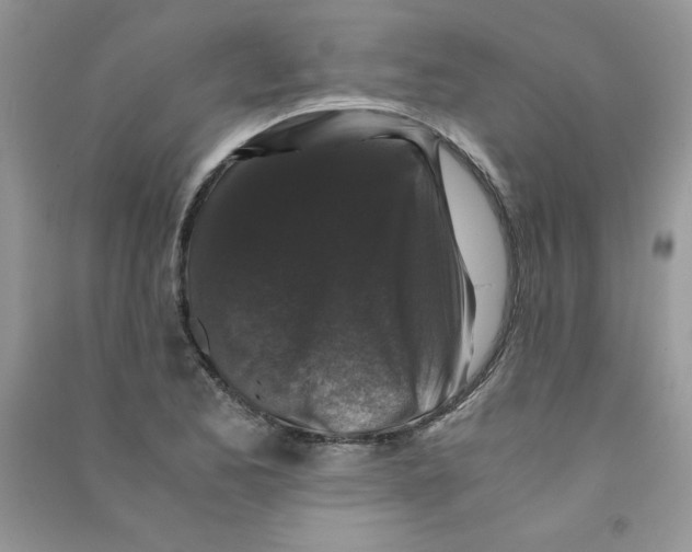 X0000090761173200708172042