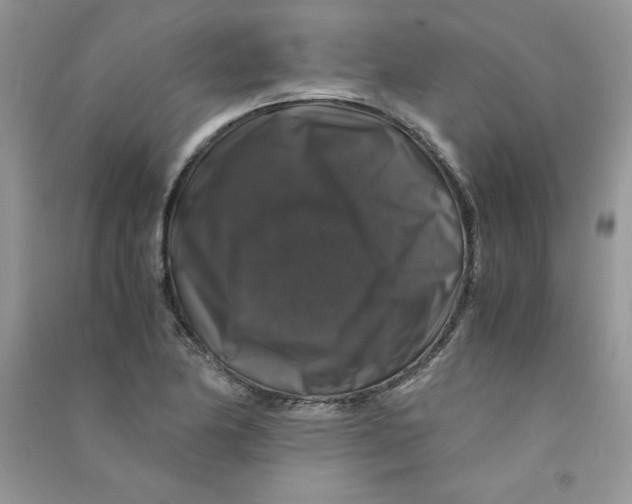 X0000090761174200708172041