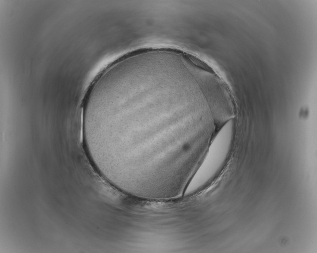 X0000090761175200708172041