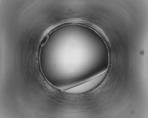 X0000090761176200708172041