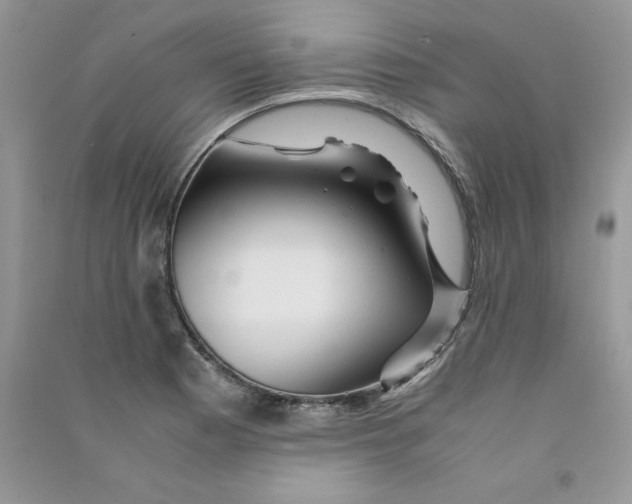 X0000090761177200708172041