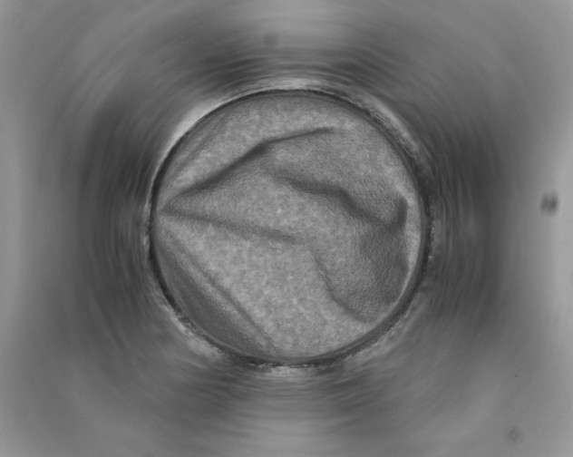 X0000090761178200708172041