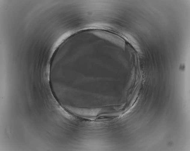 X0000090761180200708172041