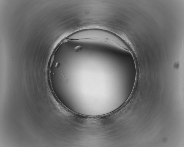 X0000090761181200708172041