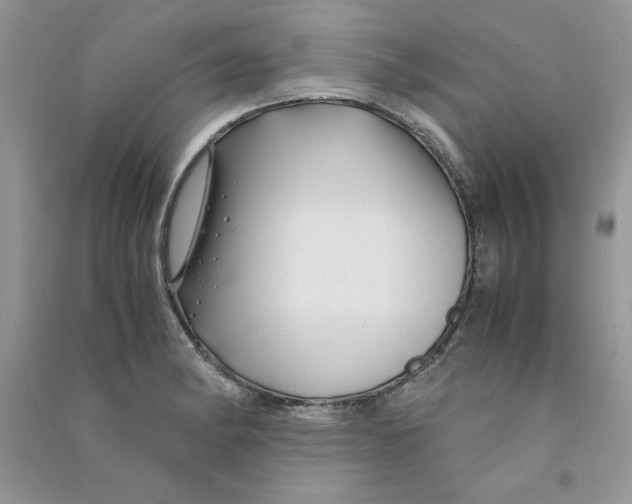 X0000090761182200708172041