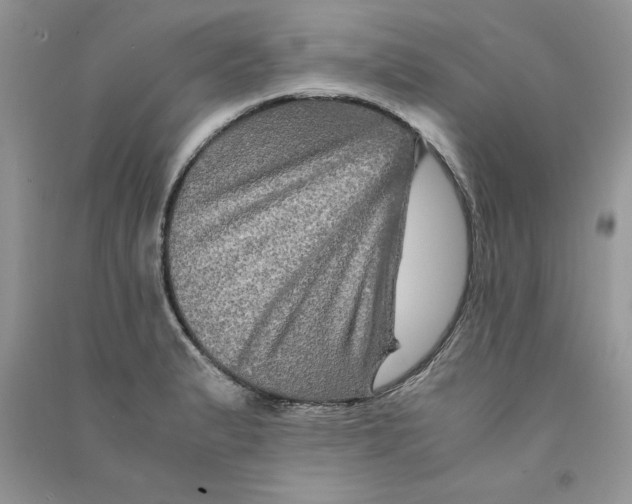 X0000090761183200708172041