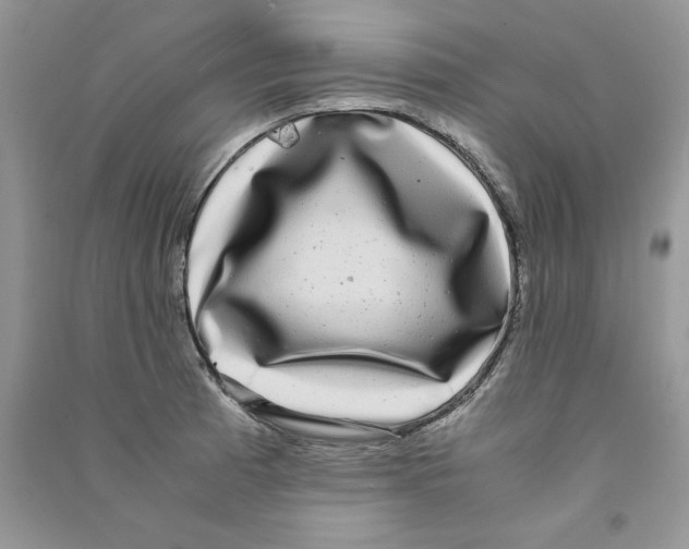 X0000090761185200708172041