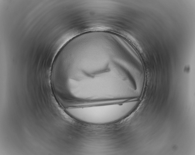 X0000090761186200708172041