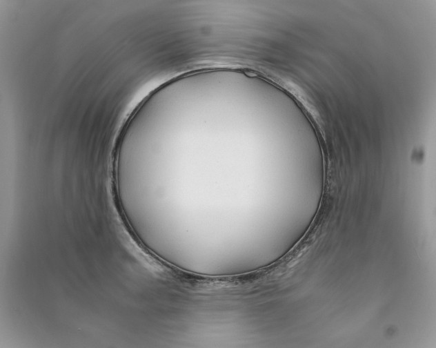 X0000090761187200708172041