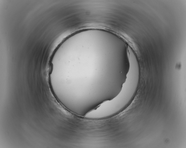 X0000090761188200708172041