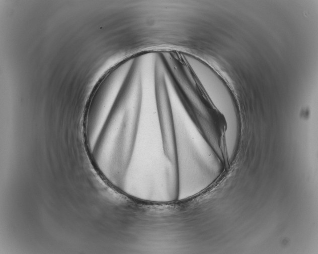 X0000090761189200708172041