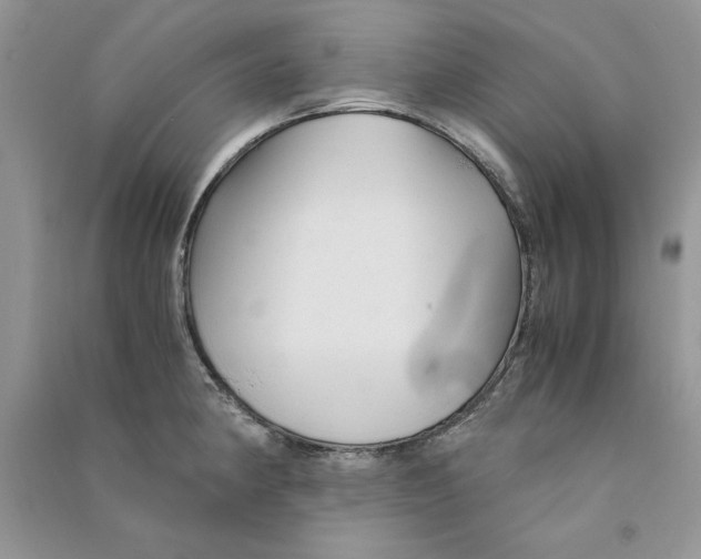 X0000090761190200708172041