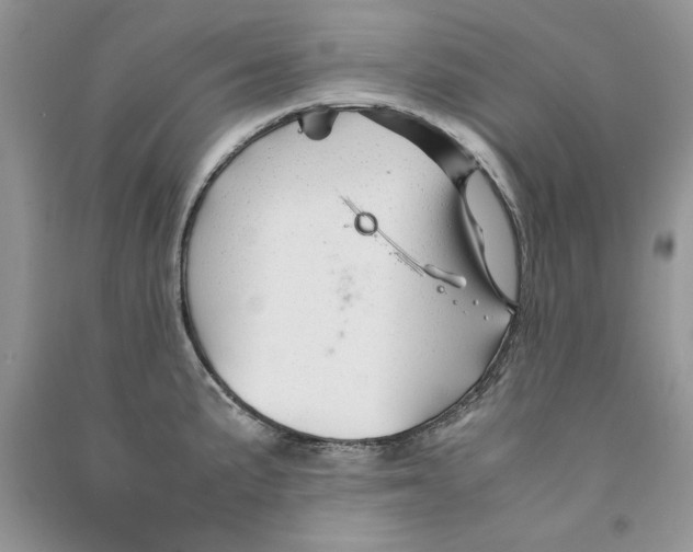 X0000090761191200708172041