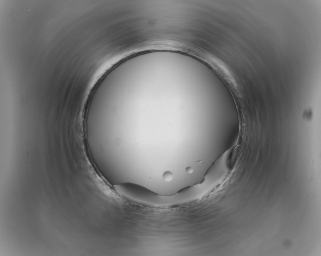 X0000090761192200708172041