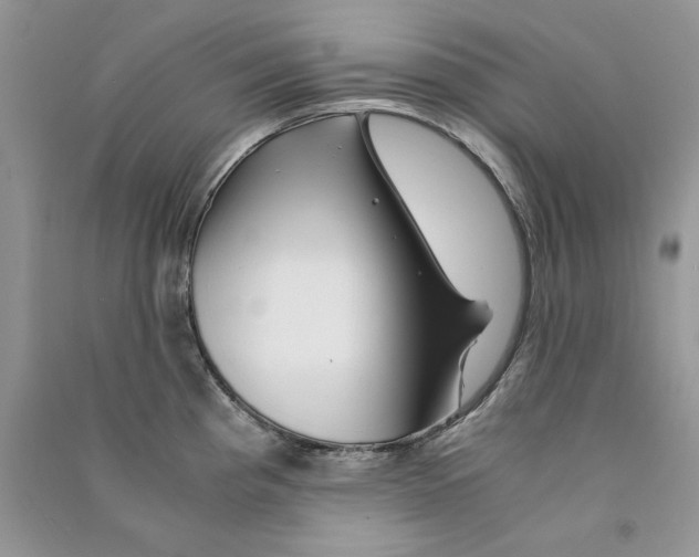 X0000090761193200708172041