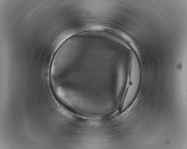 X0000090761194200708172041