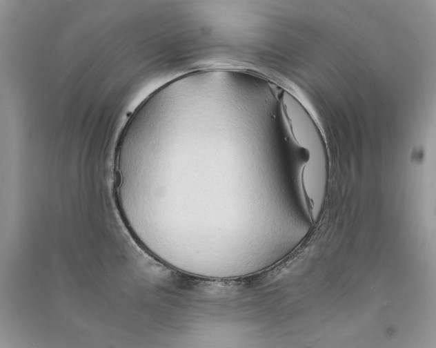 X0000090761195200708172041