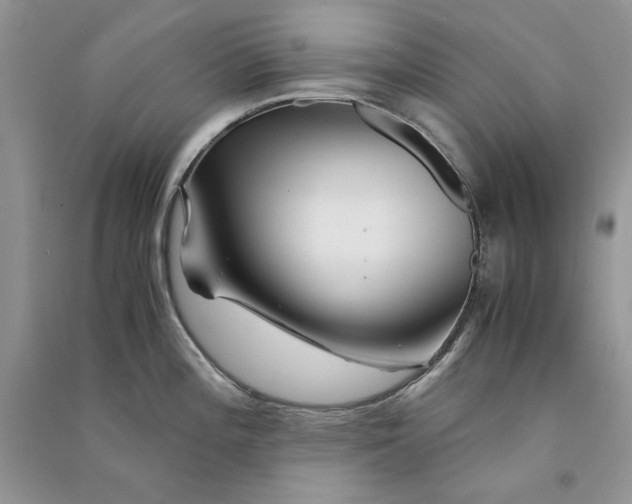 X0000090761196200708172041