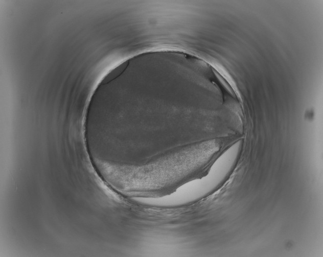 X0000090761197200708172041