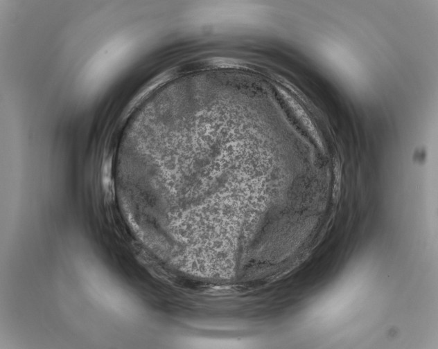 X0000090761198200708172041