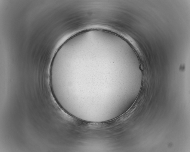 X0000090761199200708172041