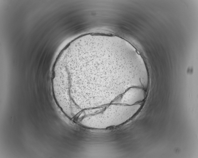 X0000090761200200708172041