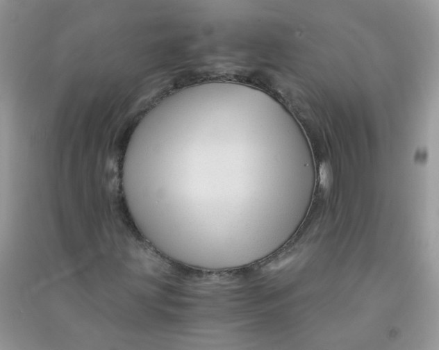 X0000090761203200708172040