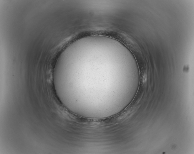 X0000090761204200708172040