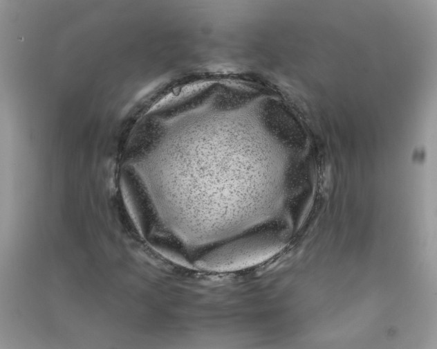 X0000090761205200708172040